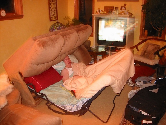 Pull Out Couches.jpg (252 KB)